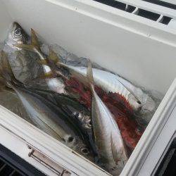 もと明丸 釣果