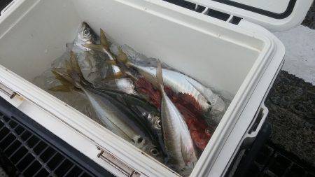 もと明丸 釣果