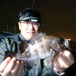 釣り船武蔵 釣果