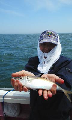 たかはし丸 釣果