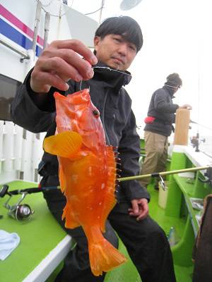 松栄丸 釣果