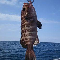 黒ひげ 釣果