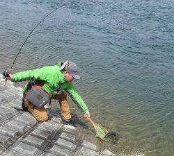 会津大川（会津非出資漁業協同組合） 釣果