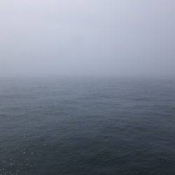 Hit Rush(ヒット ラッシュ) 釣果