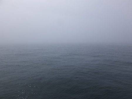 Hit Rush(ヒット ラッシュ) 釣果