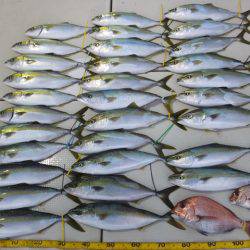 Hit Rush(ヒット ラッシュ） 釣果