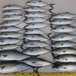 Hit Rush(ヒット ラッシュ) 釣果