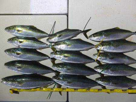 Hit Rush(ヒット ラッシュ） 釣果…