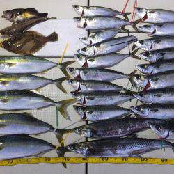 Hit Rush(ヒット ラッシュ） 釣果