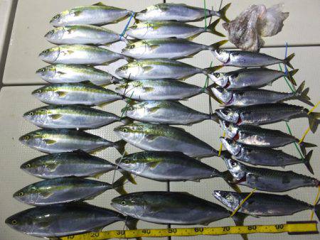 Hit Rush(ヒット ラッシュ） 釣果…