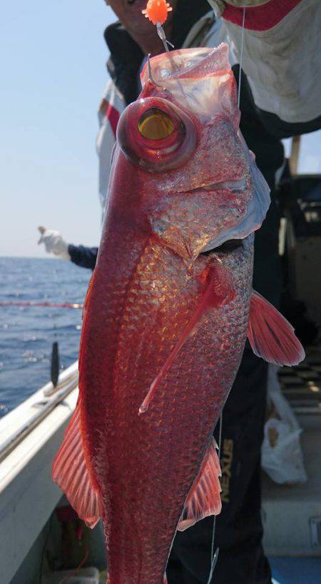 結愛丸 釣果