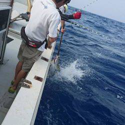 Fisherman Dreams DI 釣果