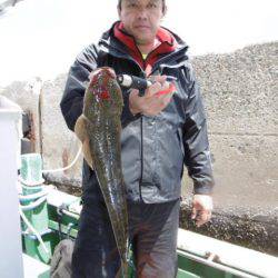 かもめ釣船 釣果