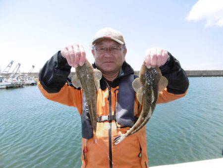 かもめ釣船 釣果