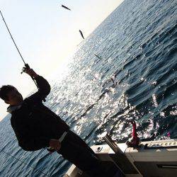 Fisherman Dreams DI 釣果