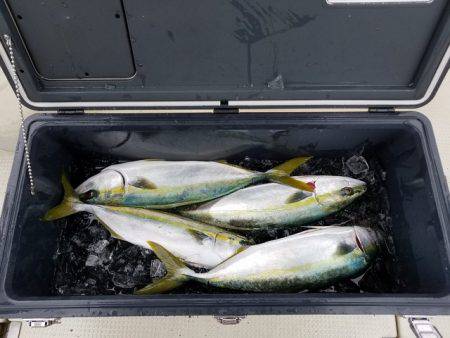 遊漁船 ニライカナイ 釣果