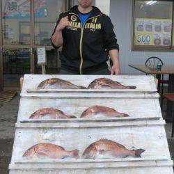 松名瀬フィッシングパーク 釣果