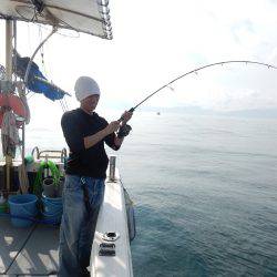 sea boss シーボス 釣果