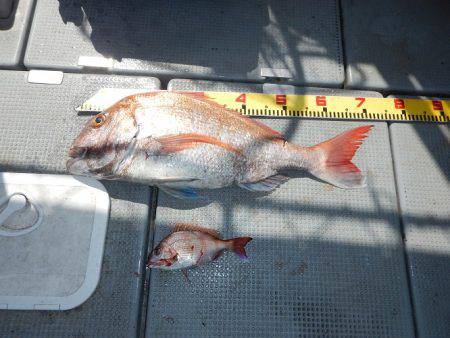 sea boss　シーボス 釣果