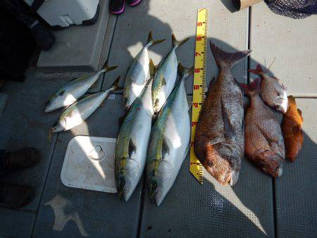 sea boss　シーボス 釣果