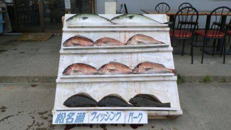 松名瀬フィッシングパーク 釣果