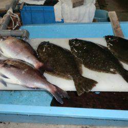 松名瀬フィッシングパーク 釣果