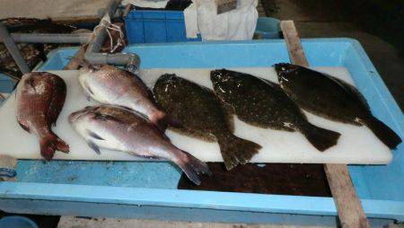 松名瀬フィッシングパーク 釣果