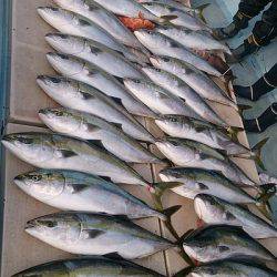 旭星釣りセンター 釣果