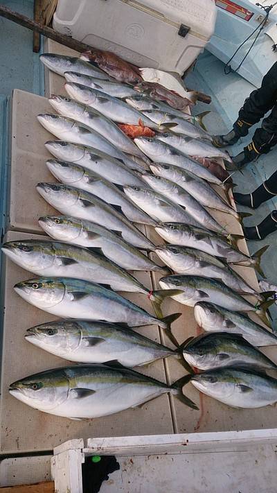 旭星釣りセンター 釣果