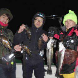 ルアー船マヒマヒ 釣果