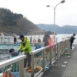海釣り公園みかた 釣果