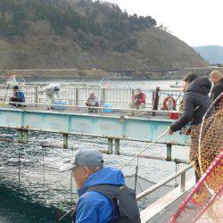 海釣り公園みかた 釣果