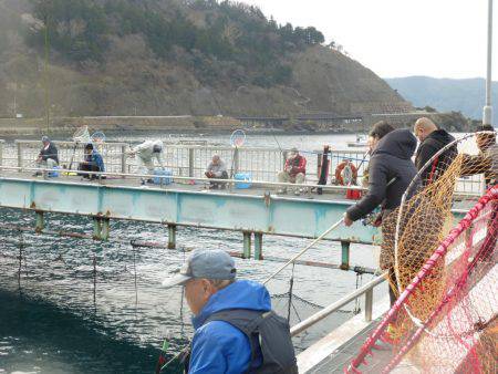 海釣り公園みかた 釣果