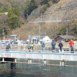 海釣り公園みかた 釣果
