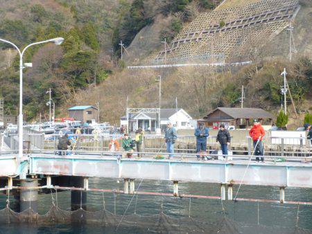 海釣り公園みかた 釣果