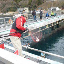 海釣り公園みかた 釣果