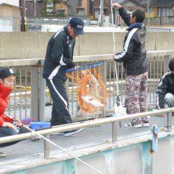 海釣り公園みかた 釣果