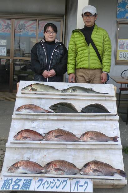 松名瀬フィッシングパーク 釣果