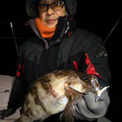 フルコンタクト 釣果