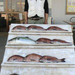 松名瀬フィッシングパーク 釣果