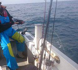 海龍丸（福岡） 釣果