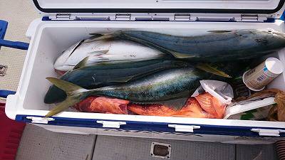 海龍丸（福岡） 釣果