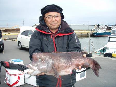 朝日丸 釣果