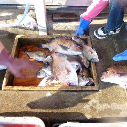 海釣り公園みかた 釣果