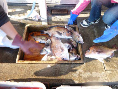 海釣り公園みかた 釣果