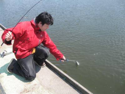 吉羽園 釣果