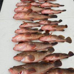 オーフリー 釣果