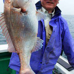 第三むつりょう丸 釣果