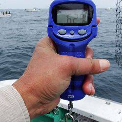 第三むつりょう丸 釣果