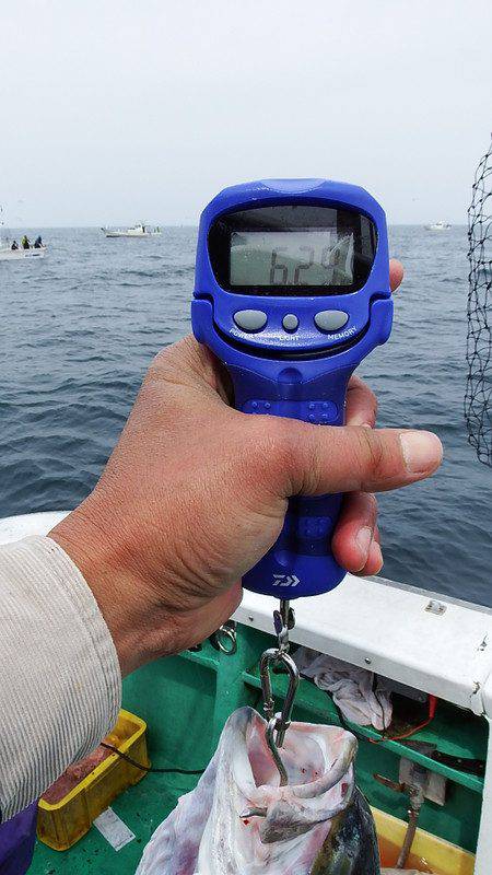 第三むつりょう丸 釣果